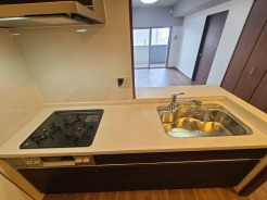 洗練されたキッチン空間が、日々の暮らしに彩りを添えます。