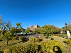 ゆったりとした緑地の多い立地ならでは！緑に包まれた環境です。
