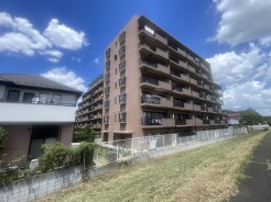 青い空の下に整然と佇む端正なフォルムが、街並みに落ち着きと調和をもたらしています
