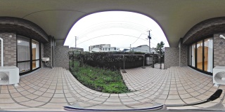 庭
