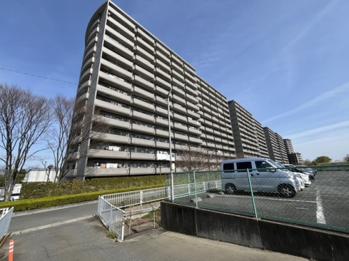 お客様写真 Vol.257