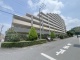 東京都八王子市東浅川町 