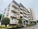 埼玉県所沢市緑町 