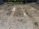 埼玉県草加市青柳 