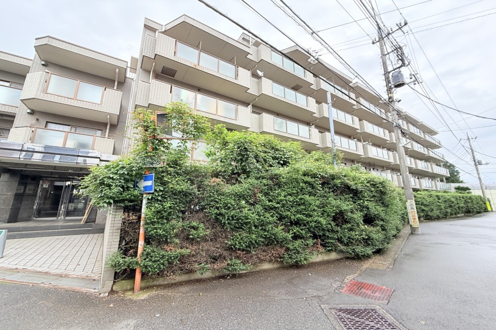 ステイツ新所沢