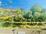 住戸からの眺望写真
