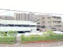 緑豊かな生垣に囲まれた、落ち着きある佇まい。