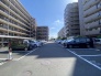 整然と区画された敷地がゆとりある日常の風景を映し出し、穏やかな居住環境を物語っています。