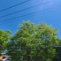 住戸からの眺望写真
