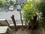 住戸からの眺望写真
