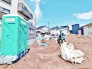現地土地写真
