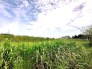 現地土地写真
