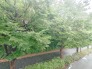 住戸からの眺望写真
