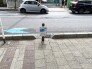 ゴミ置き場　前日にカゴが用意されます。