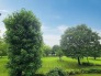 住戸からの眺望写真
