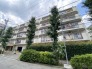 緑豊かな植栽が街並みに溶け込み、穏やかな時間が流れる落ち着いた住環境です。