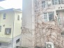 周囲の建物と穏やかに調和する落ち着いた住環境が広がる景色です