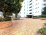 豊かな緑とタイル敷きの敷地が心地よいゆとりあるエントランスアプローチです
