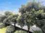 住戸からの眺望写真
