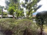 住戸からの眺望写真
