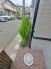 その他現地
