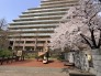 桜がキレイなマンションの中庭スペース。小さなお子様も遊べる遊具があります。