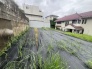 現地のご見学予約もスタートしました。
