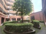 緑豊かな中庭があるマンションです。