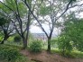 その他現地