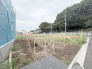 E号棟 建物のモデルハウスのご見学予約もスタートしました。当日のご見学予約も大歓迎ですので、お気軽にお問合せください。
