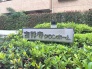 現地のご見学予約もスタートしました。

