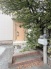 豊かな緑に包まれたアプローチが訪れる人を穏やかに迎えてくれる空間です。