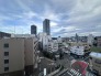 お家からの眺望です。開放感のある眺め。
