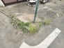 現地のご見学予約もスタートしました。

