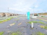 現地土地写真