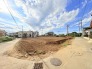 3号地 