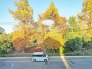 ゆったりとした緑地の多い立地ならでは！このビュースポットは見ごたえあります。
