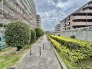 周辺の街並み 50m