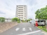 植栽付き、小さい木々でも敷地内に緑があると嬉しいですね。
