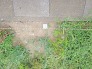 2号地 西側角の境界杭
