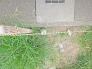 2号地 北側角の境界杭