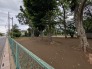 エントランス前に広がる公園 10m