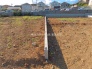 2号地  2026/08/07m