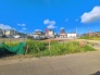 1号地  2026/08/07m