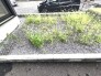 小さなお庭はメンテナンスが楽でちょうど良いかも知れませんね。
