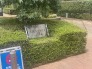 小さい木々でも敷地内に緑があると嬉しいですね。
