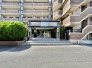 完成物件だから、引っ越したあとの配置や動線も分かりやすい。

