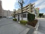 ゴミ置き場。