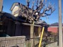 閑静な住宅地で、小さなお子様がいるご家族にも安心。
