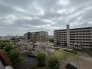 車通りの少ない閑静な住宅地、のびのびした子育てに適します。
